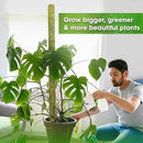 DUSPRO 59’’ Large Green Mesh Moss Pole Monstera Plant Support, Tall Plant Stakes, Moss Pole for Plants Monstera, Garden Pole, Moisture Stick for Plants (1pc., 59''), Natural by GreenHaven Gardens