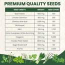 Herb Seeds | 10 Invidiual Packs | 2025 Season | Non-GMO | Mint, Parsley, Basil, Thyme & More! | for Planting Indoor & Outdoor | by Family Sown by GreenHaven Gardens