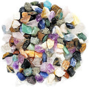 Dan&Darci Rock Collection for Kids - Includes 250+ Bulk Rocks, Gemstones & Crystals + Genuine Fossils and Minerals - 2 Lbs. - Geology Earth Science STEM Toys Activity, Gifts for Boys & Girls Ages 6+ by TinyTreasures Baby Boutique