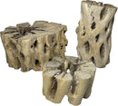 3 Natural Cholla Wood Air Plant Display Holders Tiered 1, 2 & 3 inch Individually Unique Round Decorative Stands by GreenHaven Gardens