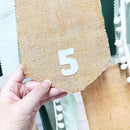 pinkblume 1st Birthday Burlap Photo Banner Garland Handmade Felt from Newborn to 12 Months with Gradient Sage Green Ribbon for Baby Boy Girl Monthly Milestones First Birthday Party Decoration Supplies by TinyTreasures Baby Boutique