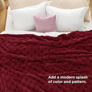 Bedsure GentleSoft King Size Blanket for Bed - Super Soft Cozy Blankets for Women Men Girls, Large Fuzzy Fleece Throw for Bedroom Decor, Red,108x90 Inches by CozyNest Decor