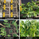 200Cells Seedling Start Trays with Drain Holes,20pcs Peat Pots Seedling Pots Biodegradable,Seedling Starter Kit,Organic Germination Plant Starter Trays(200xLabels,2xTransplant Tools,1xSpray Bottle) by GreenHaven Gardens