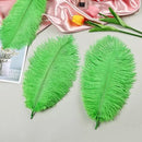 THARAHT Green Ostrich Feathers 12pcs Natural Bulk 10-12Inch 25cm-30cm for Crafts Wedding Party Centerpieces Mardi Gras and Home Decoration Feathers by CozyNest Decor