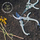 Modern Sprout Hand Pruners & Shears Set - Lightweight Gardening Tools W/Easy Lock - Sharp Carbon Steel Blades -Rust Resistant Scissors for Herbs, Flowers - Reusable Holster - Lavender by GreenHaven Gardens