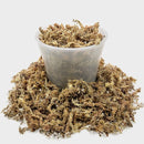 Sphagnum Moss Potting Mix for Carnivorous Plants, Moss and Perlite Blend for Potting Venus Fly Traps, Sarracenia, Pitcher Plants - 75% Sphagnum Moss + 25% Perlite - Made in USA - 4 Quart by GreenHaven Gardens