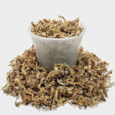 Sphagnum Moss Potting Mix for Carnivorous Plants, Moss and Perlite Blend for Potting Venus Fly Traps, Sarracenia, Pitcher Plants - 75% Sphagnum Moss + 25% Perlite - Made in USA - 5 Quart by GreenHaven Gardens