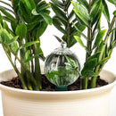 23 oz Extra Large Plant Watering Globes Top Fill, Clear Glass Water Bulbs with Terracotta Spikes Stake, Vacation Slow Release Self Watering Planter Insert, Automatic Drip Device, 1 Pack by GreenHaven Gardens