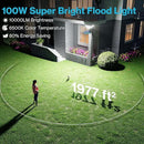 Olafus 100W Motion Sensor Outdoor Lights, 10000LM 6500K Daylight Flood Lights Outdoor Motion Sensor, Dusk to Dawn Outdoor Lighting, IP65 Waterproof Motion Detector Lights for Outside, White by GreenHaven Gardens