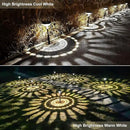 Bright Solar Pathway Lights 8 Pack, Warm White + Cool White LED Outdoor IP67 Waterproof Solar Powered Garden Lights for Walkway Yard Backyard Lawn Landscape Lighting Decor by GreenHaven Gardens