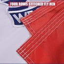 Iowa State Flag 3x5 Ft, Deluxe Full Embroidered Heavy Duty Nylon Durable IA Outside Flags, Indoor/Outdoor, Sewn Stripes and Brass Grommets by GreenHaven Gardens