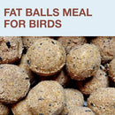 SWISSINNO No Mess Bird Feeder Lucerne Smart Birds for Fat Balls - Feed Birds, not mice & Rats! Robust & Reliable for Hanging - Made in EU - Light Blue by CozyNest Decor
