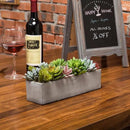 MyGift Faux Succulent Plant Arrangement in 12-Inch Gray Cement Pot by CozyNest Decor