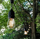 Hometown Evolution, Inc. 100 Foot E26 Commercial Outdoor Edison Bulb String Lights with Suspended Sockets (100 Foot 50 Socket, S14 Lantern Edison 11 Watt Bulbs) by CozyNest Decor