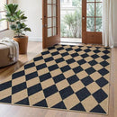 Lahome Checkered Easy Jute 5x7 Area Rugs, Washable Outdoor Patio Rug for Living Room Diamond Indoor Outdoor Carpet, Farmhouse Geometric Non Slip Black Carpet for Backyard Dining Room by CozyNest Decor