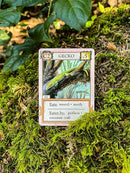 Ecologies: Hidden Habitats - Use Science to Build Food Webs in 7 Biomes - Beautiful Vintage Nature Art for The Classroom or Game Night by TinyTreasures Baby Boutique