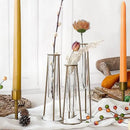 Propagation Station Terrariums with Gold Metal Stand - Kate Aspen 3 Glass Test Tube Planters for Indoor Plant, Air Plants, Plant Clippings, Cut Flowers, Herbs, Succulents | Home Decor Table Decoration by GreenHaven Gardens