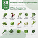 Organo Republic 30 Most Popular Winter Vegetable Garden Seeds Variety Pack- Outdoors/Indoor 8300+ Non-GMO Heirloom Veggie Seeds Broccoli Beet Carrot Cabbage Chives Lettuce Radish Pea Spinach & More by GreenHaven Gardens