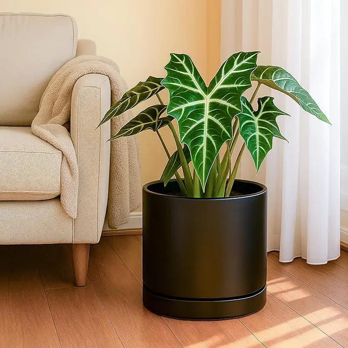 D'vine Dev Set of 2 Plants Pots, 10 Inch Ceramic Planter Pot for Plants with Drainage Hole and Saucer, Black, 94-V-E-2, photo 5 of 7