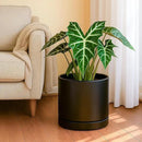 D'vine Dev Set of 2 Plants Pots, 10 Inch Ceramic Planter Pot for Plants with Drainage Hole and Saucer, Black, 94-V-E-2 by GreenHaven Gardens