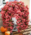 Bougainvillea Artificial Flowers Plants for Outdoors Outside Fall Autumn Decoration, 2 pcs Faux Silk Long Trailing Vines UV Resistant Look Real Red Fake Flowers for Front Door Porch Planter Urn Patio by CozyNest Decor