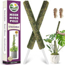DUSPRO Stackable Mesh Moss Pole for Plants Monstera Potted Plant Stakes for Indoor Plants Extendable Plant Pole Moss Sticks for Plants Climbing Vine Supporting Monstera Trellis 2 Pcs 22'' by GreenHaven Gardens