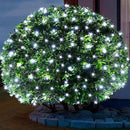 6Ftx4Ft LED Christmas Net Lights Green Wire,Connectable UL Certified Waterptoof Net Lights for Bushes Trees Shurb Garden Outdoor Christmas Decorations by GreenHaven Gardens