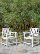 Patio Dining Chair Set of 2, HDPE Outdoor Dining Chair, Ergonomic HDPE Dining Chairs with Deep Seating, All Weather Outdoor Chairs Furniture for Backyard, Deck, Garden, Poolside, Pearl by CozyNest Decor