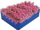 Sunnydaze Galvanized Raised Garden Bed - Metal Raised Bed for Gardening - Outdoor Planter Box for Flowers, Plants, and Vegetables - Blue - 48" W x 36" D x 12" H Rectangle by GreenHaven Gardens