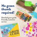 Home Grown Paint & Grow Flower Gardening Kit Set for Boys and Girls - Craft Activity Toy for Kids, Ages 5 6 7 8-12 Years Old - Unique Birthday Present - Plant Gift Toys by GreenHaven Gardens