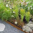 KOL Corten Steel Pre-Rusted Garden Lawn Edging - 6-Pack Metal Landscape Edging Strips - Heavy Duty Hammer-in Cor-Ten Steel Rust Border with 7 Clips - 14-Gauge - 40" L x 5.5" H (20FT Total Length) by GreenHaven Gardens