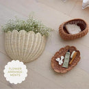 BEBE BASK Scalloped Wicker Wall Basket - The Original - Hand Woven Basket - Scalloped Décor Wall Hanging Baskets -16" x 10" x 7"In - Hanging Wall Basket (Natural) by GreenHaven Gardens