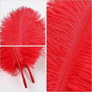 THARAHT Red Ostrich Feathers 24pcs Natural Bulk 10-12Inch 25cm-30cm for Crafts Wedding Party Centerpieces Halloween and Home Decoration Feathers by CozyNest Decor