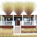 100Pcs Artificial Grass Plants, Faux Shrubs Wheat Grass, Artificial Tall Grasses Fake Plants for Outdoor Decor,Artificial Greenery Stems Weed for Room Indoor Home Decor（Light Purple） by GreenHaven Gardens
