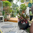 13.5 H x 17" Dia (12" Pot Opening) Round Fiberstone Planter with Drainage Hole, Black, Indoor/Outdoor Large Plant Pot for Home Patio Garden, Ideal for Large Plants by GreenHaven Gardens