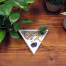 Nature's Mark Mini Zen Garden Kit for Desk with White Sand, Rake, White Base, Salt Rock and Air Plant (Triangle) by GreenHaven Gardens
