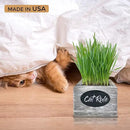 Cat Grass for Indoor Cats Kit – Best Value Organic Seed & Soil for 3 Growing Cycles, Natural Hairball Remedy & Cat Gifts (White Wash) by GreenHaven Gardens