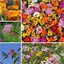 Pollinator Wildflower Seed Shaker Collection - ~300,000+ Wild Flower Seeds for Planting - Includes Hummingbird & Butterfly, Save The Monarchs, and Save The Bees Wildflower Mixes - Covers ~1,000 sq ft… by GreenHaven Gardens
