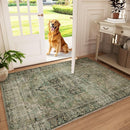 Machine Washable Throw Rugs for Entryway: Door Mat Indoor Entrance 3x5 Small Rug Stain Resistant Non-Slip Low Pile Soft Carpet for Kitchen Front Door Indoor Entrance Entry Bedroom by TinyTreasures Baby Boutique