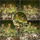 DIBIEECN 6 Pack Butterfly Solar Pathway Lights Outdoor,Metal Garden Decorations Outdoor Lights with Patterns and Warm Light,Waterproof Landscape Lighting for Path Patio Backyard Walkway Yard by GreenHaven Gardens
