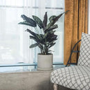 Ekirlin 6 Inch Flower Plant Pot Indoor - Grey Cement Garden Planter Concrete Planter with Drain Hole Saucer, Modern Succulents Containers for Home Decor, Office & Outdoor by GreenHaven Gardens
