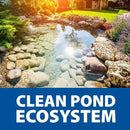 The Pond Guy Seasonal Defense, Spring & Fall Beneficial Bacteria, Barley & Enzymes, Cold Water Pond Sludge & Scum Treatment, Fish & Plant Safe, 12 Packets by GreenHaven Gardens