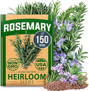 HOME GROWN 𝗨𝗦𝗔 𝗣𝗥𝗘𝗠𝗜𝗨𝗠 Rosemary Seeds Pack - 150 High Germinating 𝗡𝗢𝗡-𝗚𝗠𝗢 Heirloom Herb Seeds for Planting in Indoor or Outdoor Herb Gardens (Salvia rosmarinus) by GreenHaven Gardens