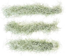 6 Pack Thick Colombian Spanish Moss Live Strands with Wire Hook - Tillandsia Usneiodes - Live Tillandsia Succulent House Plants - Home and Garden Decor - Easy Care Indoor and Outdoor Plants by GreenHaven Gardens
