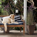 KOL Artificial 5ft 2-Pack Horsetail Reed Grass, 59in Tall Artificial Indoor Outdoor Fake Grass Plant, Home Office Décor Artificial Plants in Pot Faux Plant Greenery, Wedding Decor, Purple by CozyNest Decor
