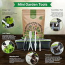 25 Culinary Herbs & Edible Flower Seed Variety Pack for Planting Indoor & Outdoors. 11900+ Non-GMO Heirloom Flower Seeds: Basil, Borage, Echinacea, Lavender, Oregano, Rosemary Seeds & More by GreenHaven Gardens