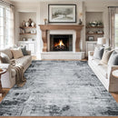 Area Rugs Living Room Rug - 4x6 Washable Modern Abstract Soft Neutral Non-Slip Carpet Large Indoor Floor Thin Carpets for Bedroom Dining Room Farmhouse Nursery Home Office Black by TinyTreasures Baby Boutique