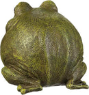 Evergreen Cute Portly Frog Outdoor Statue and Secret Key Holder | Weatherproof and Outdoor Safe | Garden Sculpture | Porch Garage or Patio Home Decor | 6 Inches Tall by GreenHaven Gardens