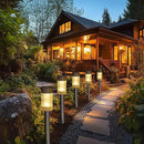 Dazzle Bright Solar Pathway Lights Outdoor, 12 Pack LED Solar Powered Waterproof Garden Lights, Landscape Lighting for Walkway Driveway Lawn Patio Yard Decoration, Warm White by GreenHaven Gardens