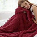 Bedsure GentleSoft Twin Blanket for Bed Red - Super Soft Cozy Blankets for Women Men Girls, Cute Fuzzy Fleece Throws for Bedroom Couch, 60x80 Inches by CozyNest Decor